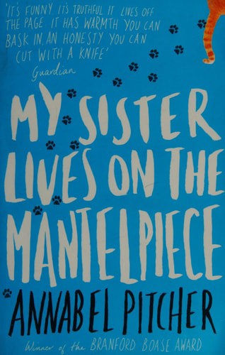 Mt Sister lives on the mantlepiece by Annabel Pitchner