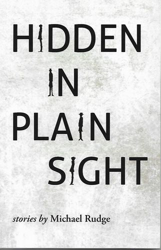 Hidden in Plain Sight by Michael Rudge