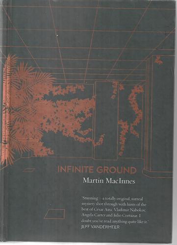 Infinite Ground by Martin MacInnes