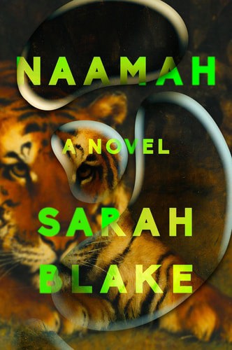 Naamah: A Novel by Sarah Blake
