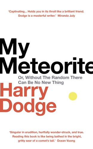 My Meteorite Or, Without The Random There Can Be No New Thing by Harry Dodge
