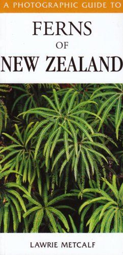 A Photographic Guide to Ferns of New Zealand by L.J. Metcalf