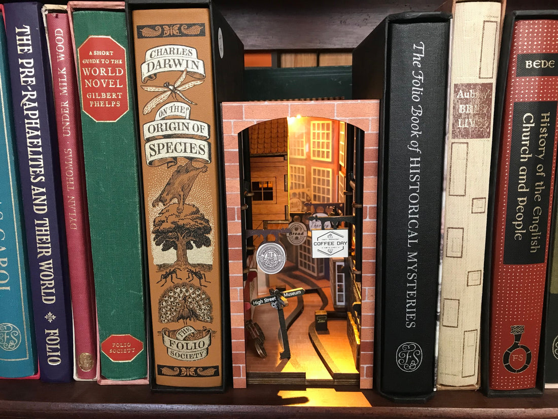 One Month at Book Haven