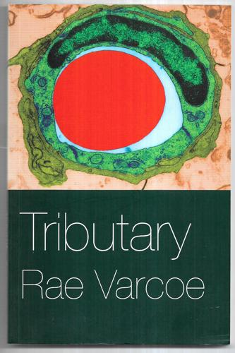 Tributary by Rae Varcoe
