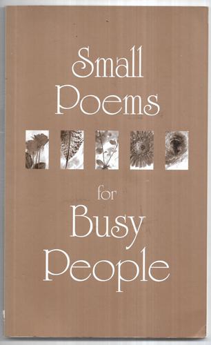 Small Poems for Busy People