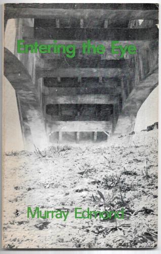 Entering the Eye by Murray Edmond