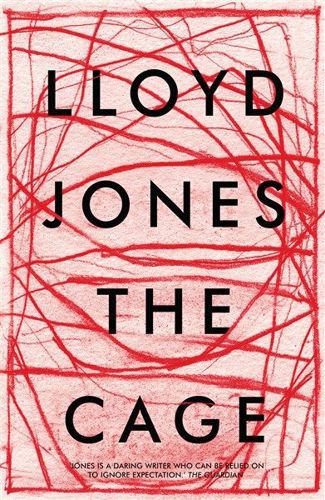 The Cage by Lloyd Jones