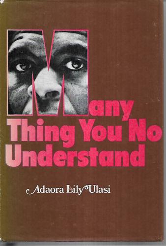 Many Thing You No Understand by Adaora Lily Ulasi