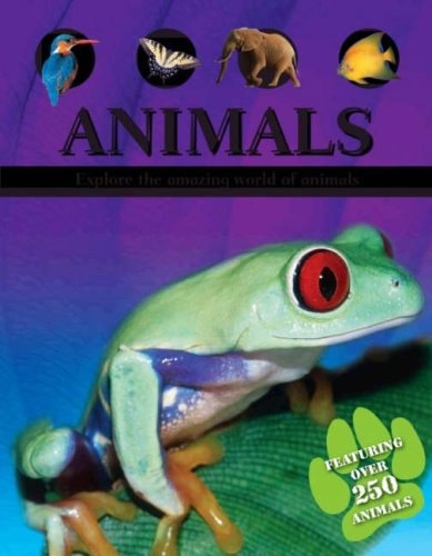 Animals: Explore the Amazing World of Animals by Sally Morgan