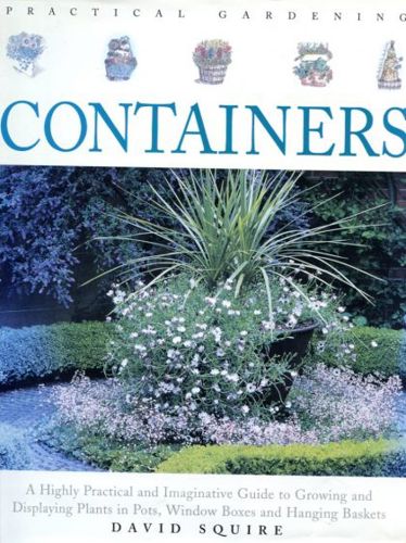 Practical Gardening: Containers by David Squire
