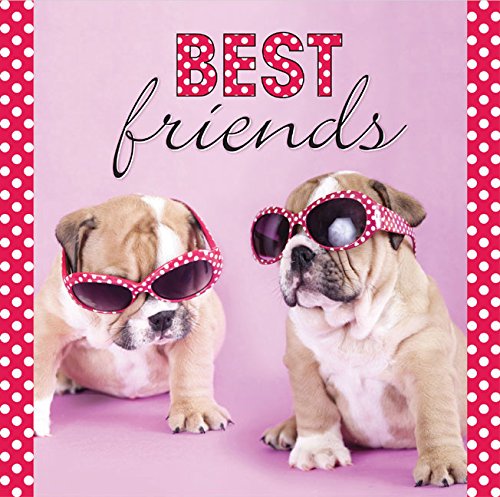 Best Friends by Struik Inspirational Gifts