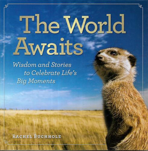 The World Awaits: Wisdom And Stories To Celebrate Life's Big Moments by Rachel Buchholz