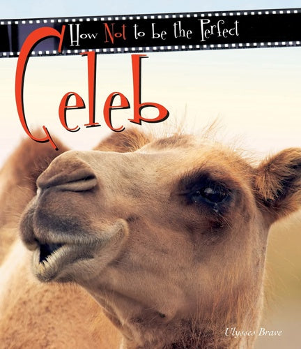 How Not To Be The Perfect Celeb by Ulysses Brave