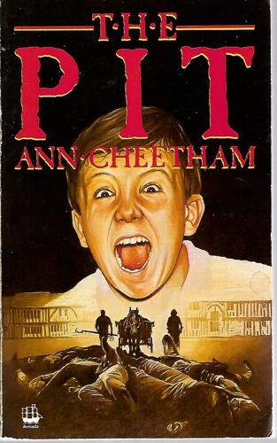 The Pit by Ann Cheetham