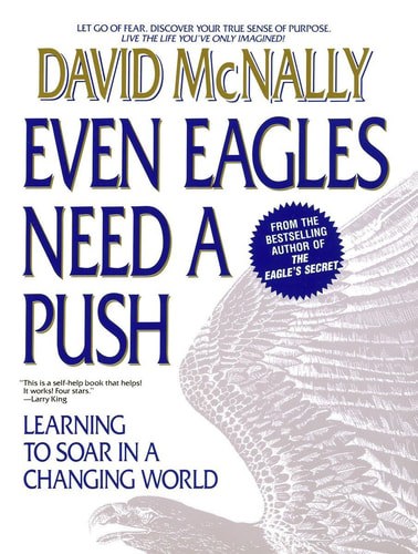 Even Eagles Need A Push: Learning To Soar In A Changing World by David McNally