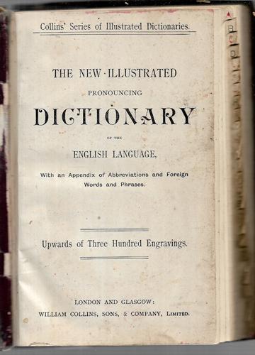The New Illustrated National Pronouncing Dictionary Of The English Language