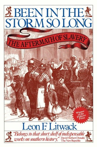 Been In The Storm So Long: The Aftermath Of Slavery by Leon F. Litwack