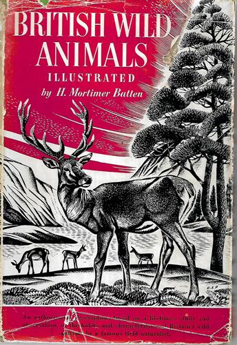 British Wild Animals Illustrated by H. Mortimer Batten