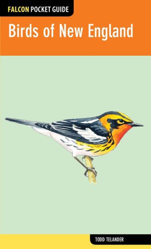 Falcon Pocket Guide: Birds Of New England by Todd Telander