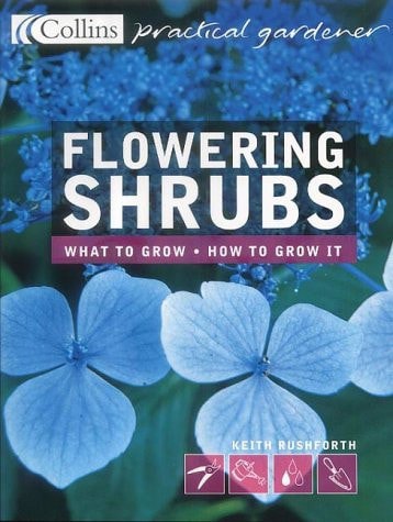Flowering Shrubs by Keith Rushforth