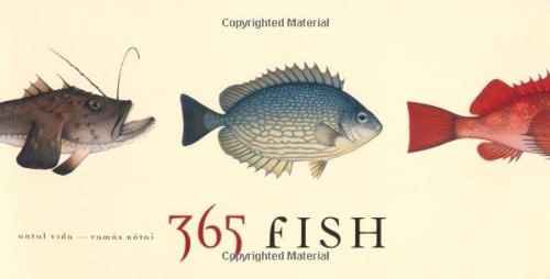 365 Fish by Antal Vida