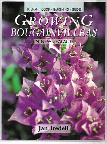 Growing Bougainvilleas In New Zealand by Jan Iredell