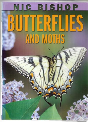 Butterflies And Moths by Nic Bishop