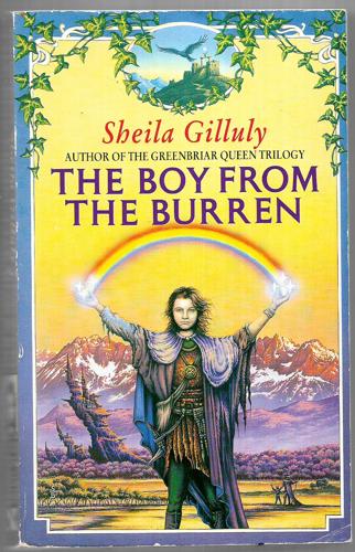 The Boy From The Burren by Sheila Gilluly