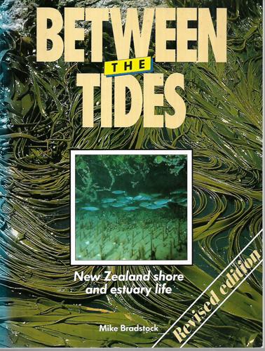 Between the Tides: New Zealand Shore And Estuary Life - Revised Edition by Mike Bradstock