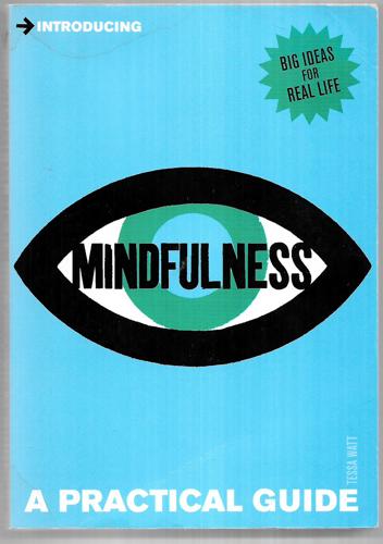 Introducing Mindfulness A Practical Guide by Tessa Watt