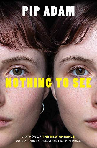 Nothing To See by Pip Adam