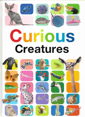 Curious Creatures by Anita Ganeri