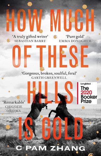 How Much Of These Hills Is Gold by C Pam Zhang