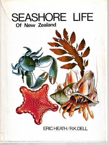 Seashore Life Of New Zealand by Eric Walmsley Heath