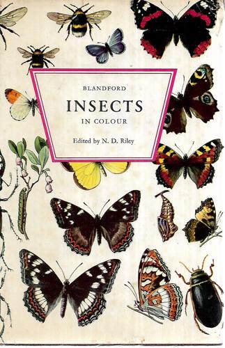 Insects In Color by N. D. Riley