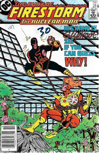 The Fury Of Firestorm - The Nuclear Man: Vol 2, No 28, October 1984 by Gerry Conway