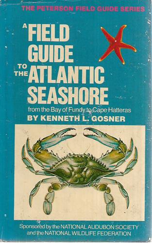 A Field Guide To The Atlantic Seashore by Kenneth L. Gosner