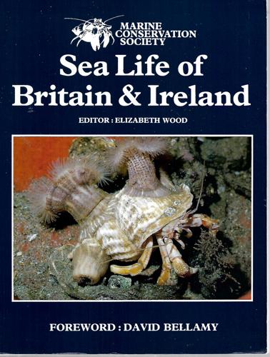 Sea Life Of Britain & Ireland by Elizabeth Wood