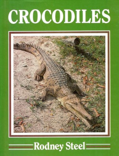 Crocodiles by Rodney Steel